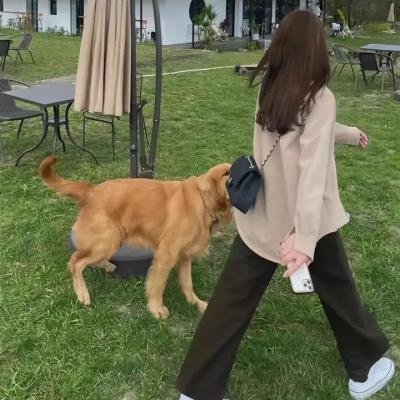 山的那一边